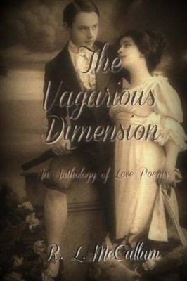 Book cover for The Vagarious Dimension