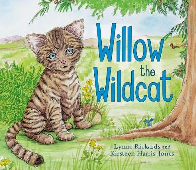 Book cover for Willow the Wildcat