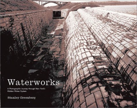 Book cover for Waterworks