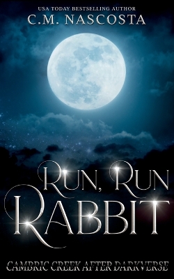 Book cover for Run, Run Rabbit