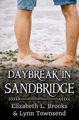 Book cover for Daybreak in Sandbridge