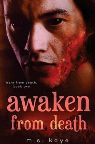 Cover of Awaken from Death