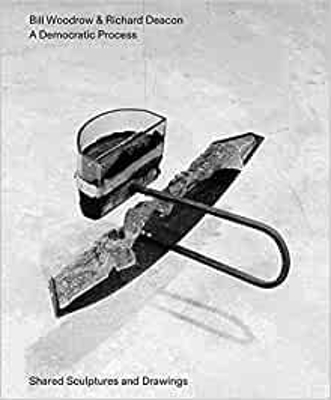 Book cover for Bill Woodrow & Richard Deacon - a Democratic Process: Shared Sculptures and Drawings