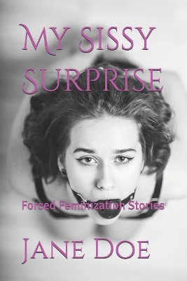 Book cover for My Sissy Surprise