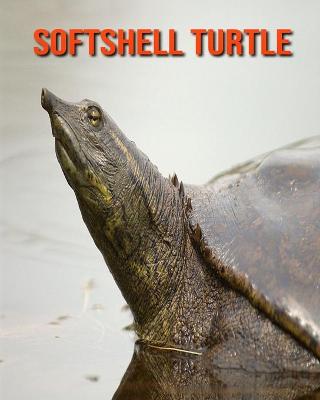 Book cover for Softshell Turtle