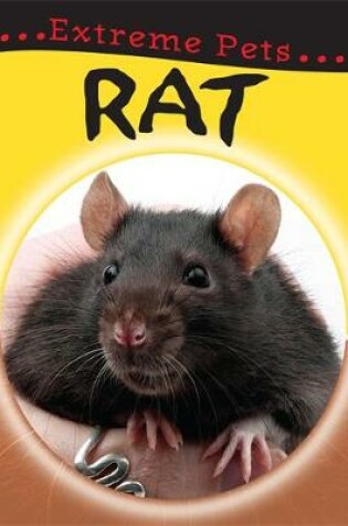 Cover of Rat