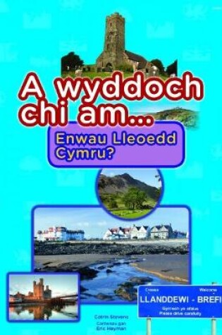 Cover of Cyfres a Wyddoch Chi: A Wyddoch Chi am Enwau Lleoedd Cymru?