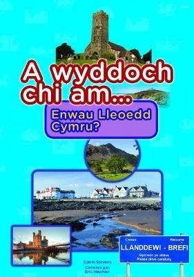 Book cover for Cyfres a Wyddoch Chi: A Wyddoch Chi am Enwau Lleoedd Cymru?