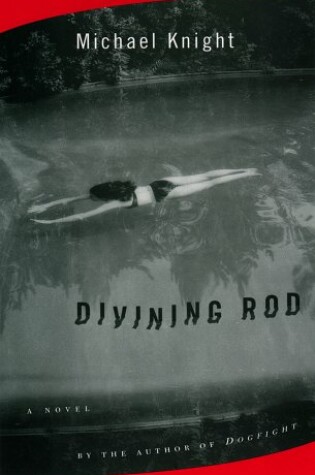 Cover of The Divining Rod