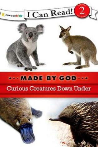 Cover of Curious Creatures Down Under