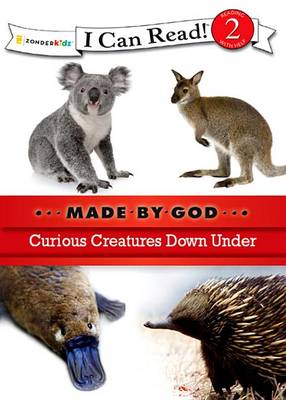 Cover of Curious Creatures Down Under