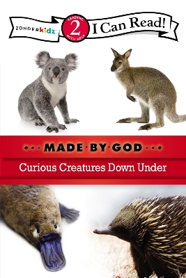 Book cover for Curious Creatures Down Under