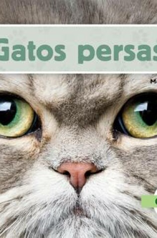 Cover of Gatos Persas (Persian Cats) (Spanish Version)