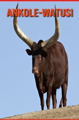 Cover of Ankole-Watusi