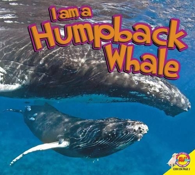 Book cover for I Am a Humpback Whale