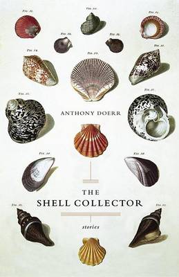 Book cover for Shell Collector, the