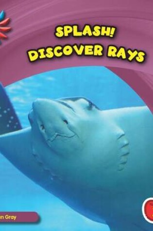 Cover of Discover Rays