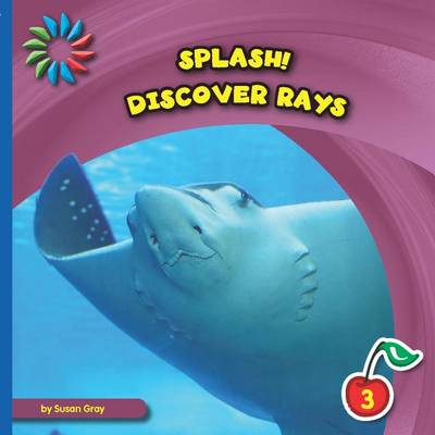 Book cover for Discover Rays