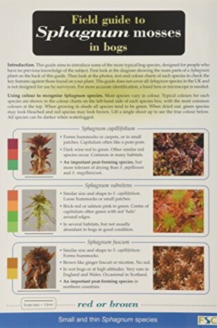 Cover of Field Guide to Sphagnum Mosses in Bogs