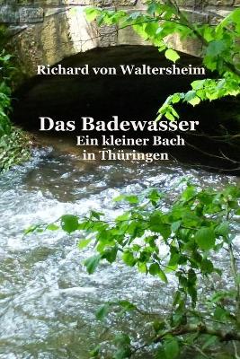Book cover for Das Badewasser