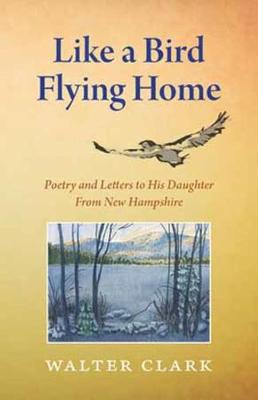 Book cover for Like a Bird Flying Home