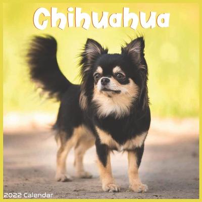 Book cover for Chihuahua 2022 Calendar