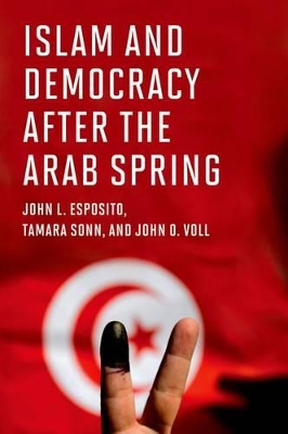 Book cover for Islam and Democracy after the Arab Spring