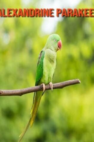 Cover of Alexandrine Parakeet