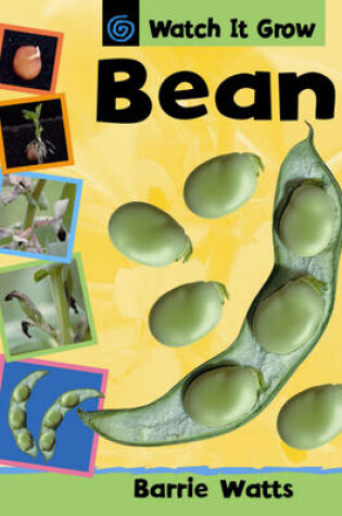 Cover of Watch It Grow: Bean