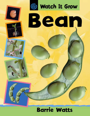 Book cover for Watch It Grow: Bean