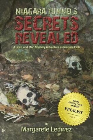 Cover of Niagara Tunnels Secrets Revealed