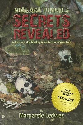 Book cover for Niagara Tunnels Secrets Revealed