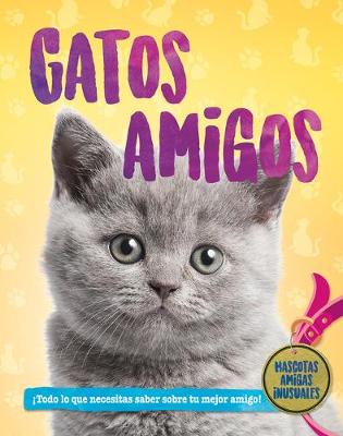 Book cover for Gatos Amigos (Cat Pals)