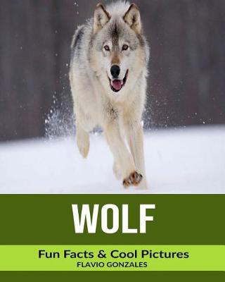 Book cover for Wolf