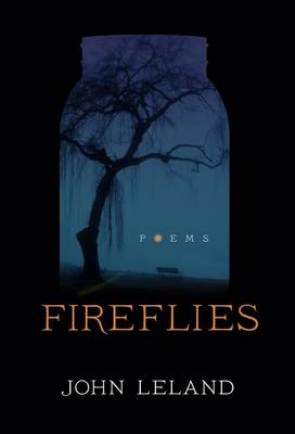 Book cover for Fireflies