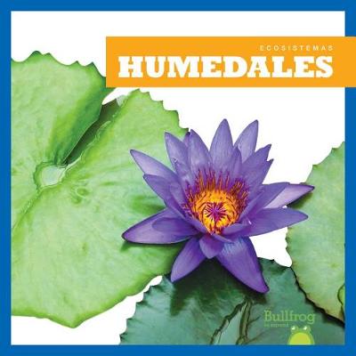 Book cover for Humedales (Wetlands)