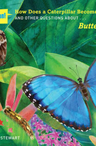 Cover of How Does a Caterpillar Become a Butterfly?