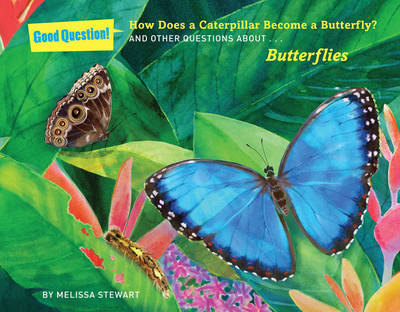 Book cover for How Does a Caterpillar Become a Butterfly?
