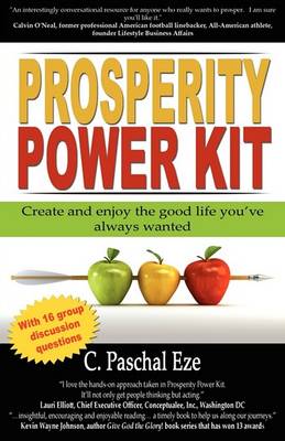 Book cover for Prosperity Power Kit