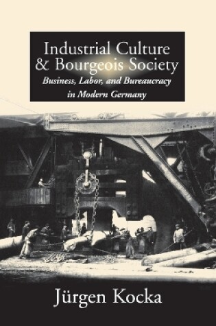 Cover of Industrial Culture and Bourgeois Society in Modern Germany