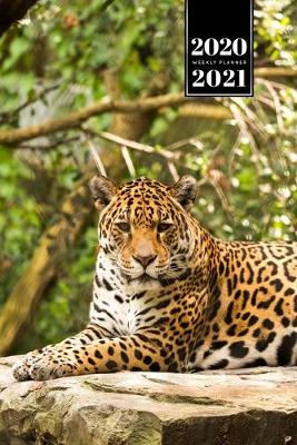 Book cover for Panther Leopard Cheetah Cougar Week Planner Weekly Organizer Calendar 2020 / 2021 - Time to Rest
