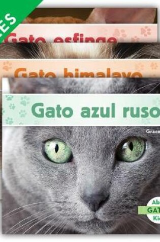 Cover of Gatos Set 2 (Cats) (Set)