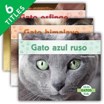 Cover of Gatos Set 2 (Cats) (Set)