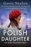 Book cover for The Polish Daughter