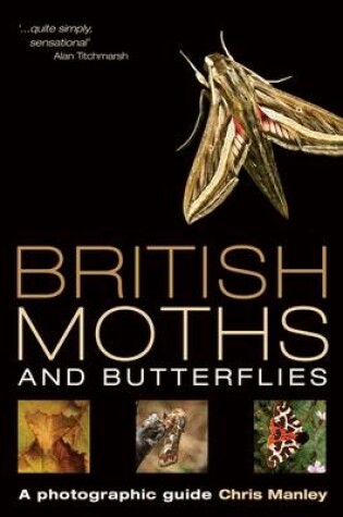 Cover of British Moths and Butterflies