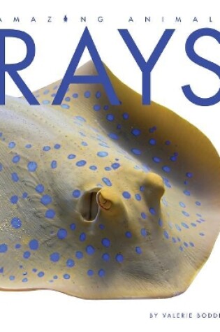 Cover of Rays