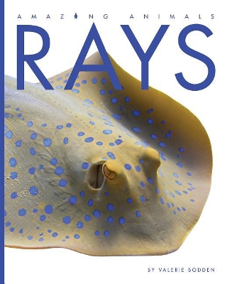 Cover of Rays