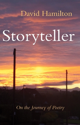 Book cover for Storyteller