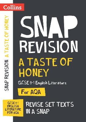 Book cover for A Taste of Honey AQA GCSE 9-1 English Literature Text Guide