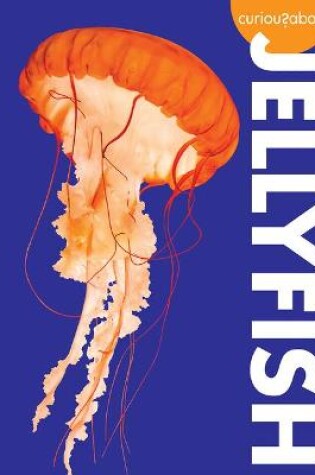 Cover of Curious about Jellyfish